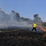 آتش‌سوزی‌های جنگلی در استرالیا